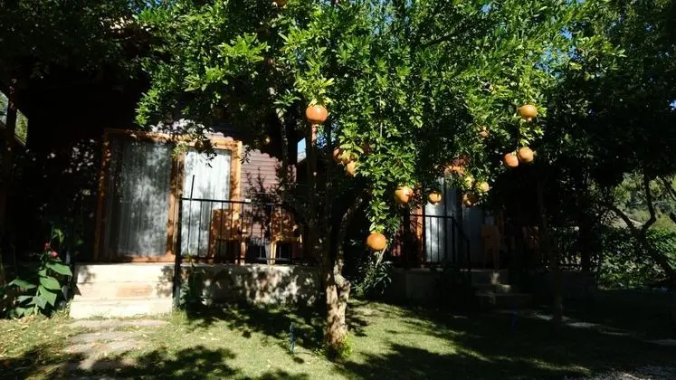 Bungalow, Bahçe Manzaralı, Balkonlu