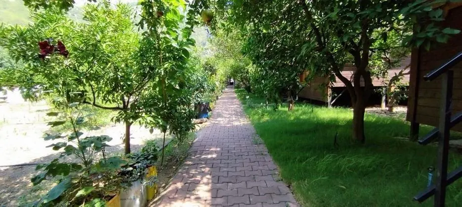 https://images.odamax.com/img/1024x768/odamax/image/upload/Olympos_Varuna_Pansiyon_202406301547185_WhatsApp_Image_2024_06_27_at_19_48_05_1_.jpeg