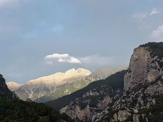 Economy Tek Büyük Yataklı Oda