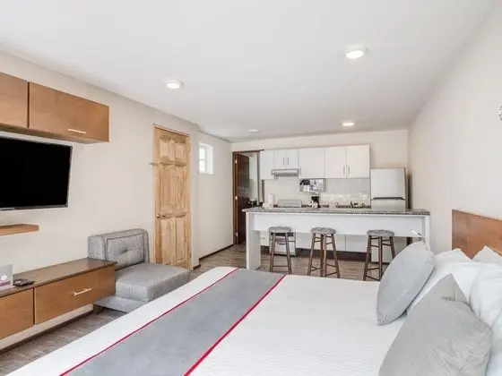 Çatı Katı (Loft), Teras