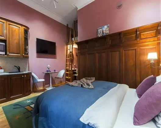 Comfort Stüdyo, Küçük Mutfak, Şehir Manzaralı