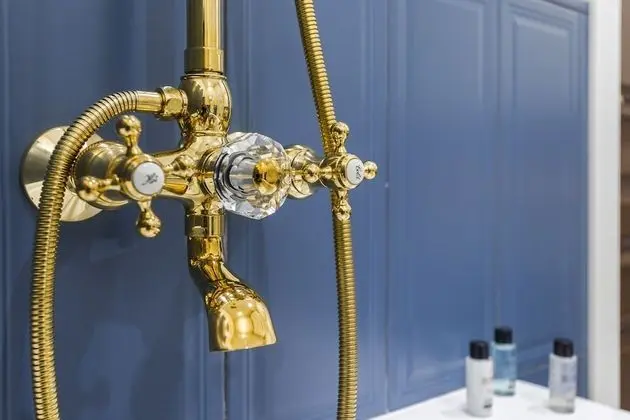Deluxe Stüdyo Süit, Küçük Mutfak, Executive Katı