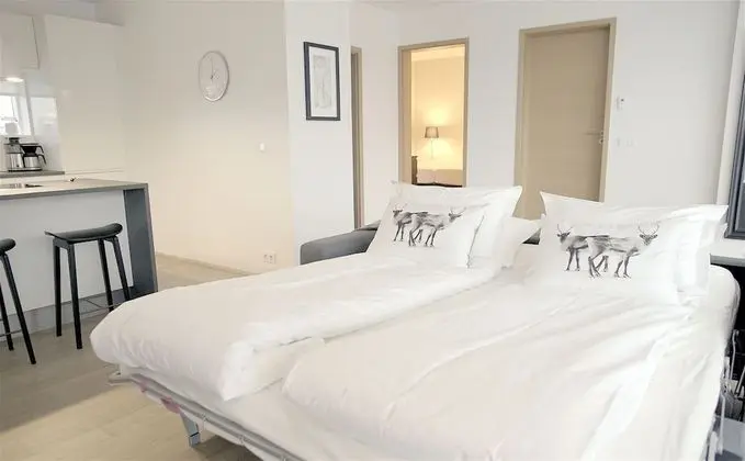 Comfort Apart Daire, 1 Yatak Odası (101)