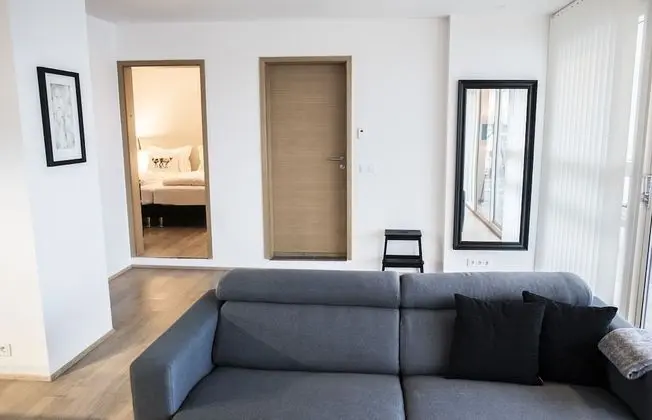 Comfort Apart Daire, 1 Yatak Odası (101)