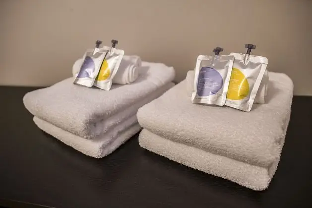 Comfort Apart Daire, 1 Yatak Odası (101)