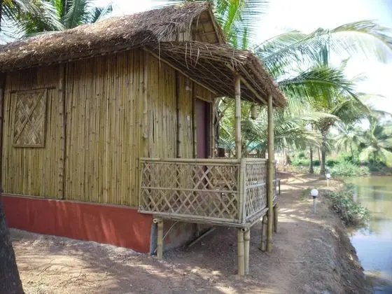 Oda