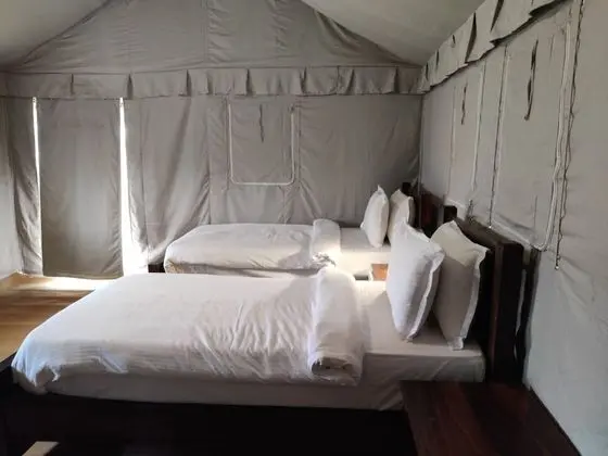 Luxury Çadır