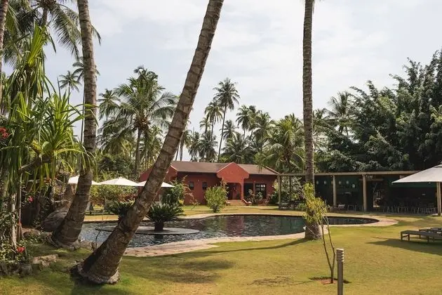 Family Oda, Havuz Kenarı