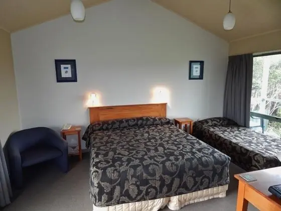 Superior Stüdyo (1 King and 1 Single Bed)
