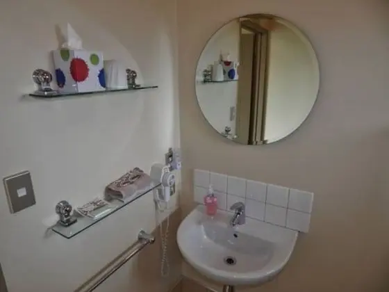 Superior Stüdyo (1 King and 1 Single Bed)