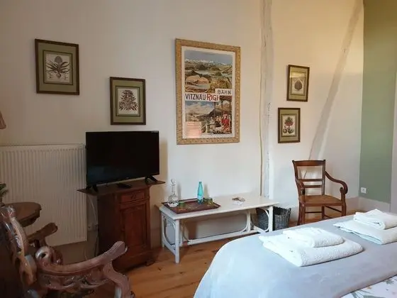 Superior Tek Büyük Yataklı Oda