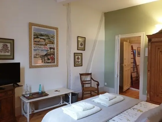 Superior Tek Büyük Yataklı Oda