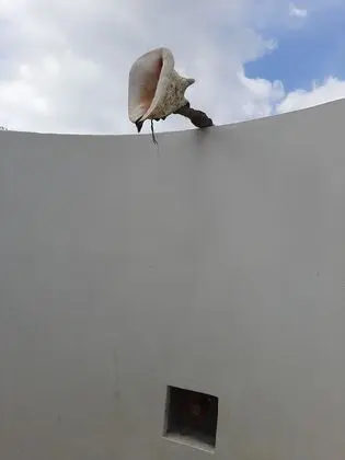 Tek Büyük Yataklı Oda, 1 Yatak Odası