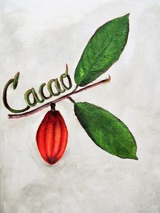Cacao Room
