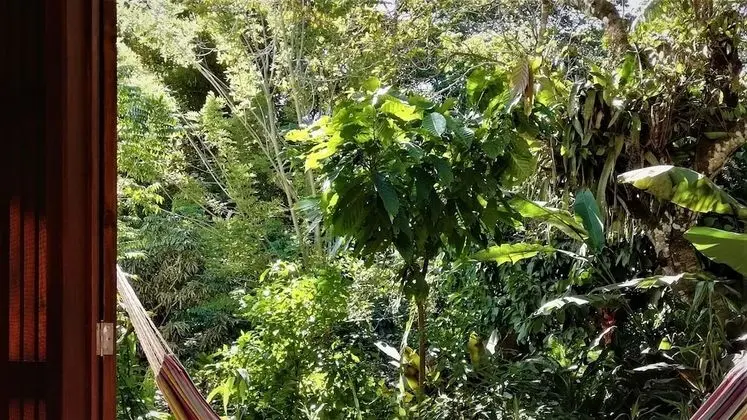 Cacao Room