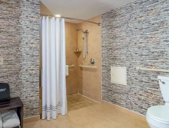Deluxe Oda, 1 En Büyük (King) Boy Yatak, Engellilere Uygun (Roll in Shower)