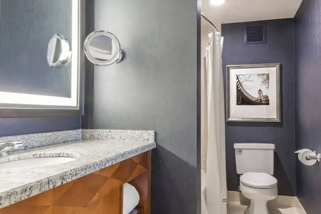 Deluxe Süit, 1 En Büyük (King) Boy Yatak