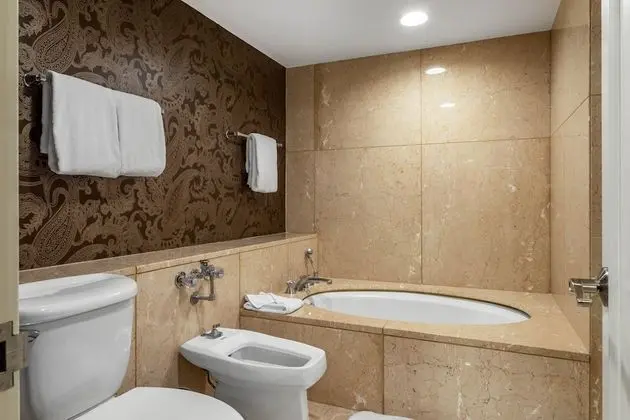 Premier Oda, 1 En Büyük (King) Boy Yatak, Engellilere Uygun (Signature Room, Roll-In-Shower)
