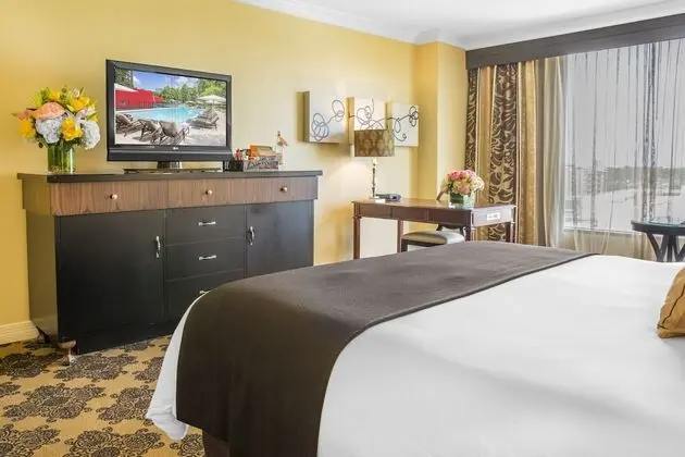 Premier Oda, 1 En Büyük (King) Boy Yatak, Engellilere Uygun (Signature Room, Roll-In-Shower)