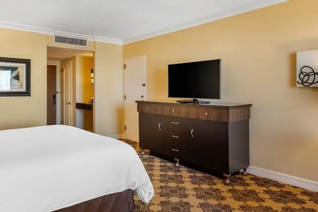 Premier Oda, 1 En Büyük (King) Boy Yatak, Engellilere Uygun (Signature Room, Roll-In-Shower)