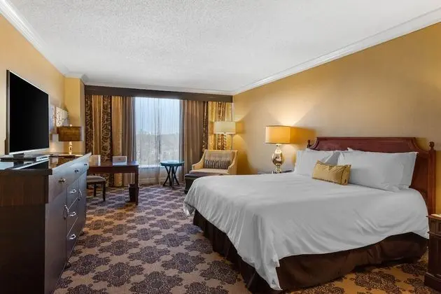 Premier Oda, 1 En Büyük (King) Boy Yatak, Engellilere Uygun (Signature Room, Roll-In-Shower)
