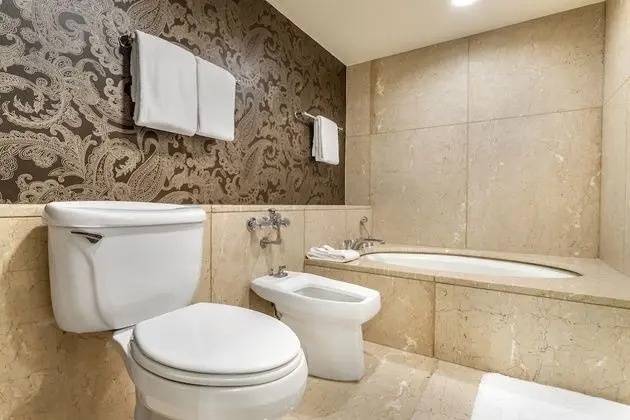 Premier Oda, 1 En Büyük (King) Boy Yatak, Engellilere Uygun (Signature Room, Roll-In-Shower)