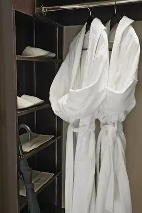 Luxury Süit, 1 En Büyük (King) Boy Yatak