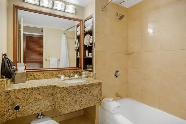 Deluxe Oda, 1 Büyük (Queen) Boy Yatak, Engellilere Uygun (with Roll-In Shower)