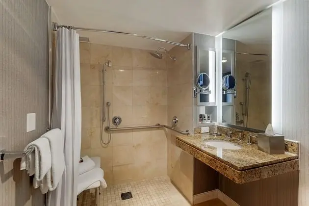 Deluxe Oda, 1 Büyük (Queen) Boy Yatak, Engellilere Uygun (with Roll-In Shower)