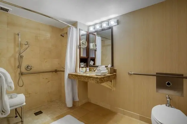 Deluxe Oda, 1 Büyük (Queen) Boy Yatak, Engellilere Uygun (with Roll-In Shower)