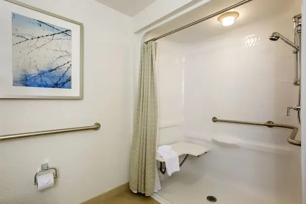 Deluxe Oda, 1 En Büyük (King) Boy Yatak, Engellilere Uygun (Roll In Shower)