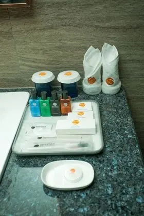Deluxe Oda, 1 Yatak Odası, Sigara İçilmez, Şehir Manzaralı