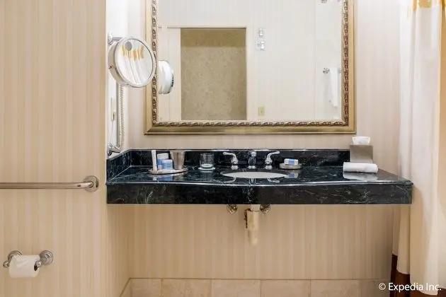 Deluxe Oda, 1 En Büyük (King) Boy Yatak, Engellilere Uygun