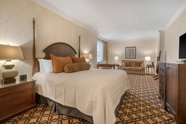 Deluxe Oda, 1 En Büyük (King) Boy Yatak, Engellilere Uygun