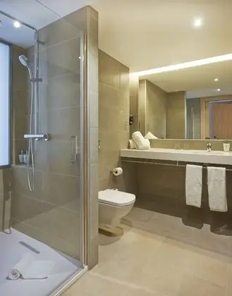 Executive Tek Büyük Yataklı Oda, 1 Çift Kişilik Yatak, Sigara İçilmez, Banyolu/Duşlu