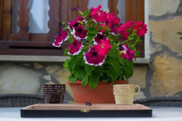 Traditional Ev, 2 Yatak Odası (Olga)