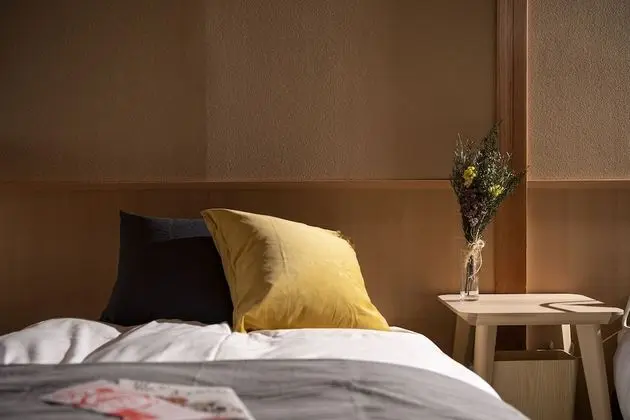 Deluxe İki Ayrı Yataklı Oda, Sigara İçilmez