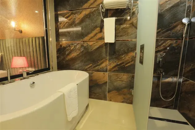 Rooflight Suite Oda
