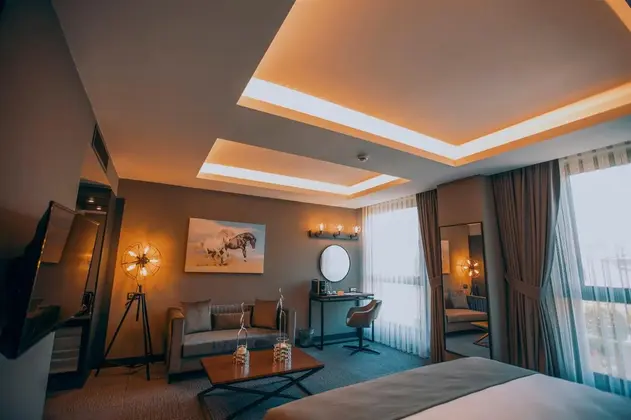 Rooflight Suite Oda