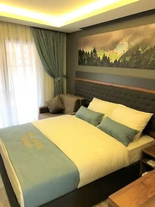 Superior Tek Büyük Yataklı Oda, 1 Çift Kişilik Yatak