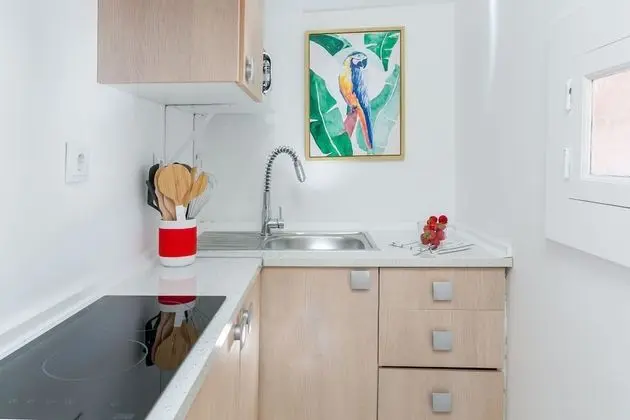 Stüdyo, 1 Yatak Odası, Dağ Manzaralı (IV)