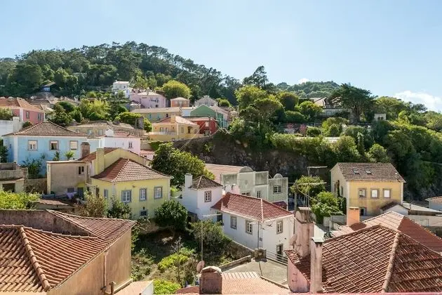 Stüdyo, 1 Yatak Odası, Dağ Manzaralı (IV)