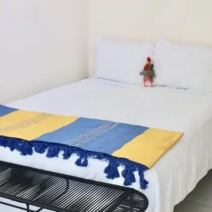 Design Stüdyo
