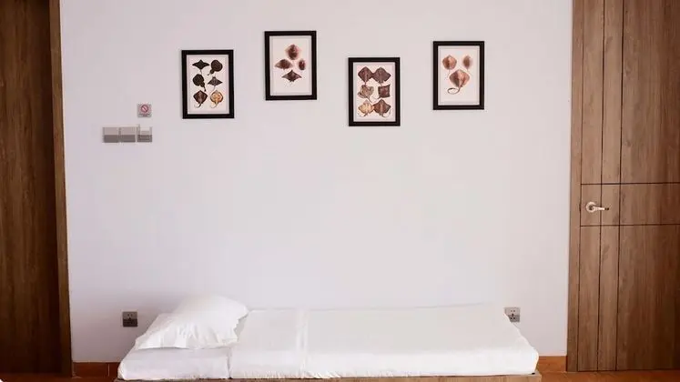 Junior Oda, Okyanusa Sıfır