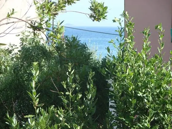 Apart Daire, 1 Yatak Odası, Balkon