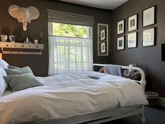 Comfort Tek Büyük Yataklı Oda, Ortak Banyo, Avlu Manzaralı (South Western)