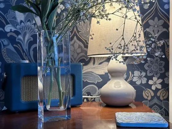 Comfort Tek Büyük Yataklı Oda, Ortak Banyo, Avlu Manzaralı (South Western)