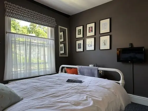 Comfort Tek Büyük Yataklı Oda, Ortak Banyo, Avlu Manzaralı (South Western)