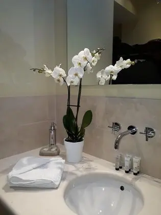 Exclusive Tek Büyük Yataklı Oda, Banyolu/Duşlu