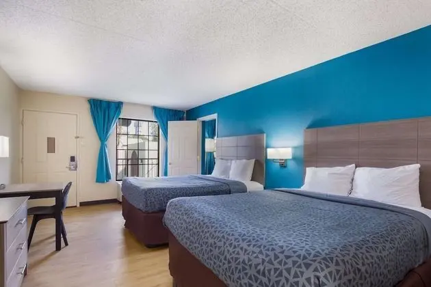 Süit, 2 Büyük (Queen) Boy Yatak, Mutfak